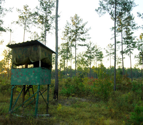 Hunting Stand
